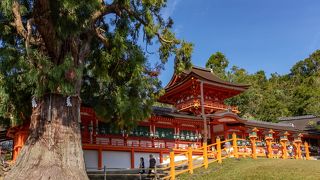 有料エリアだが