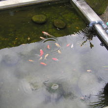 山あいの静かでのどかな環境が好印象