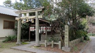 観光都市京都の面目躍如ですね