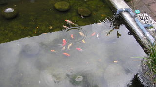 泉質のよさとひなびた雰囲気で人気が定着