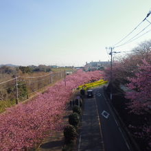 公園と京急
