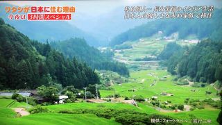 テレビで使ってもらっちゃった！