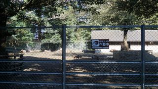 ここで大切にされているのは当然です