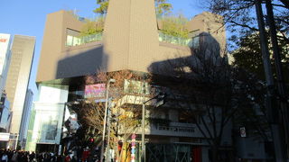 おもはらの森は緑豊かで癒されます