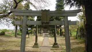 多摩川沿いにある神社