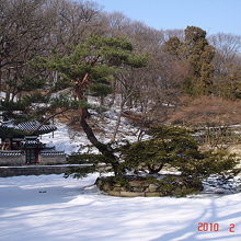 凍結した昌徳宮の芙蓉池と四井記碑閣。