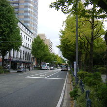 横浜山下公園通り 