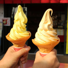 右がみかん、左がレモン