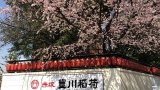 赤坂のビル街にある別世界のお寺