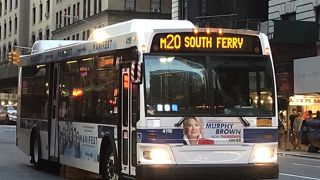 どこでも見かけます