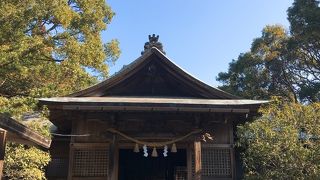 神様発祥の地！日向橘の～祝詞言葉にあるようにね～