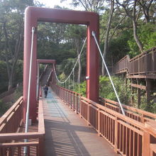 遊歩道はしっかりと整備されていて歩きやすいです