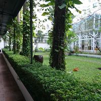 コロニアル形式の建物内にある庭です。