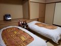 嬉野温泉　大正屋　湯宿　清流 写真