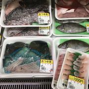 沖縄の魚に大満足！