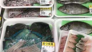 沖縄の魚に大満足！