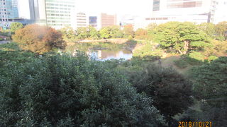 東京なのに緑が多い