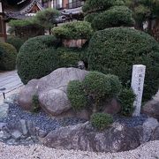 植え込みの中に「ねむり亀」