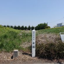 両側の盛り上がりが堤