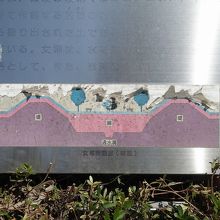 断面のイメージ