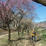 ＪＲ高尾駅から景信山(3)に登りました