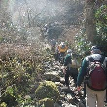 沢沿いの急登り