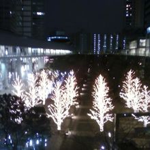 イルミネーションが綺麗です。