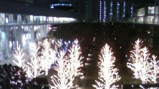 夜景も素敵です。