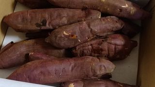 箱入り焼き芋がお得でちょーおいしい♪