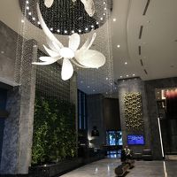 フロントも豪華