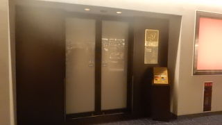 滑走路を見ながらビールを飲む