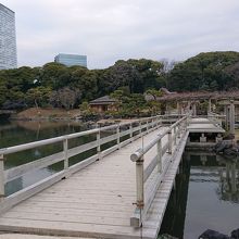 潮入り池の風情のある風景です。