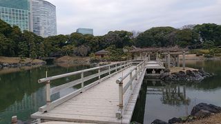 汐留の浜離宮恩賜庭園にある海水の池。メインスポットです。