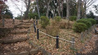 あっという間に頂上