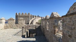 観光案内所で午後二時から四時までは無料入場できると教えていただきました。