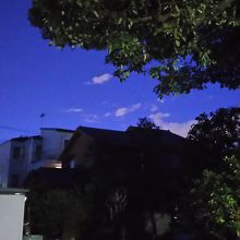 裏口から見学。大樹と現代的な本堂です。