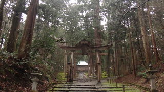 苔が美しい境内