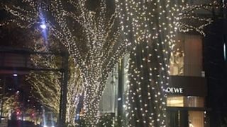 表参道のライトアップ