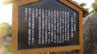 赤の帽子がプリティーです