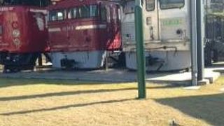 展示内容に興奮