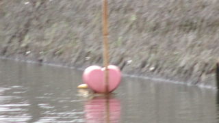 松江のメインです