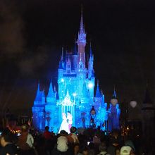 マジックキングダムに行ったらぜひ見てください