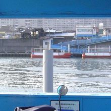 西成区側から対岸を見る