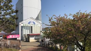 西平畑公園の崖に