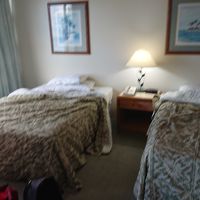 Wサイズあるベット。女性なら二人でも大丈夫かも