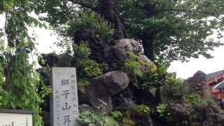 見ていて飽きない獅子の様子