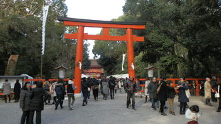 京都最強のパワースポット、下鴨神社