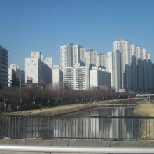 サクラの木々がピンクに染まる季節が間もなくやって来ます