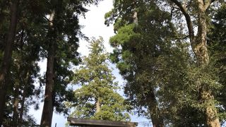 とても広く神聖な場所