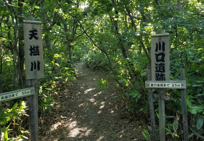 天塩川河口砂丘林の中の遺跡